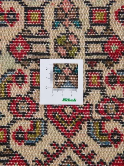 Endjelas Hamadan|Kibek New