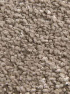 Exclusiv|Kibek Online