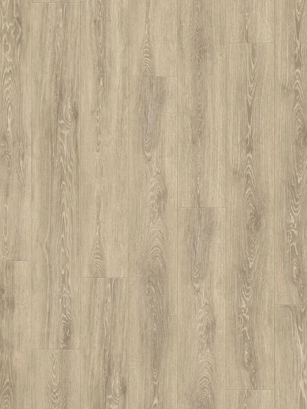 Exquisite|Kibek Best