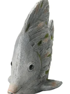 Fisch Wanda|Kibek Sale