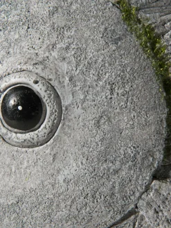 Fisch Wanda|Kibek Sale