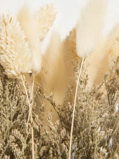 Flowerbouquet|Kibek Best