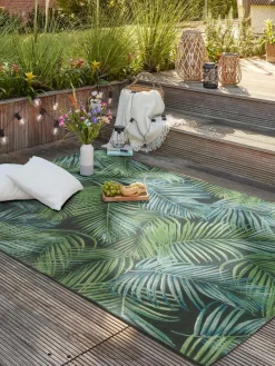 Galapagos|Kibek Best