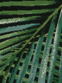 Galapagos|Kibek Best