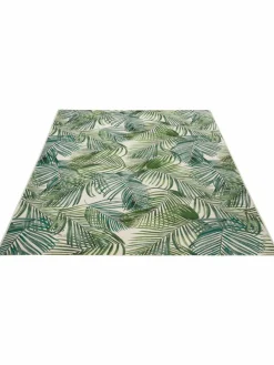 Galapagos|Kibek Outlet