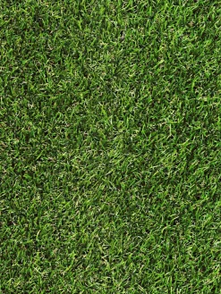 Garden|Kibek Discount