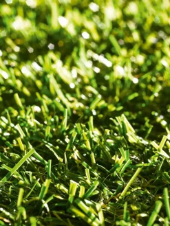 Garden|Kibek Discount