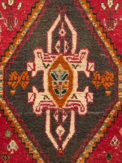 Gashgai|Kibek Clearance