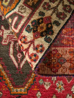 Gashgai|Kibek Clearance