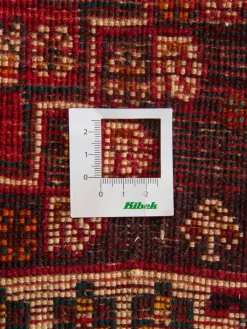 Gashgai|Kibek Clearance