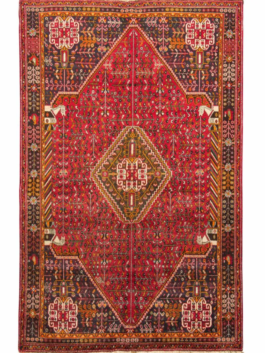 Gashgai|Kibek Clearance