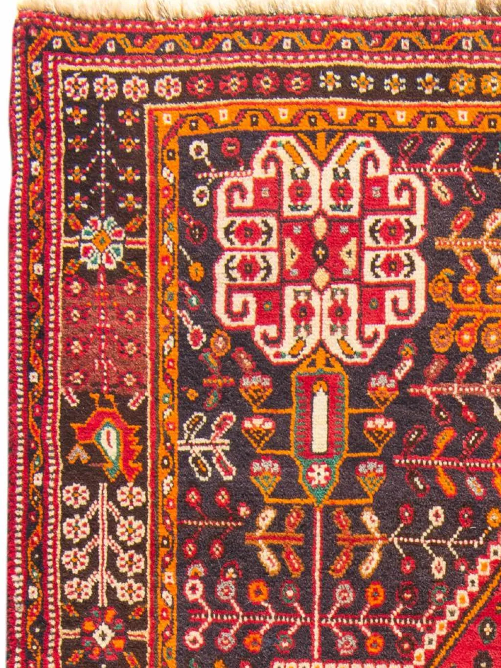 Gashgai|Kibek Clearance