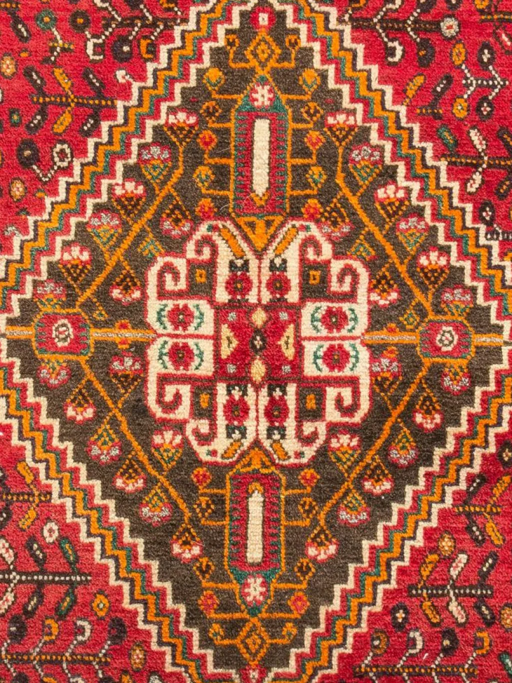 Gashgai|Kibek Clearance