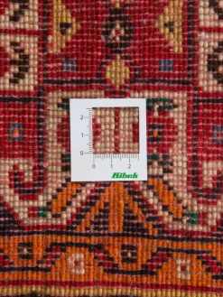 Gashgai|Kibek Clearance