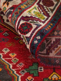 Gashgai|Kibek Clearance