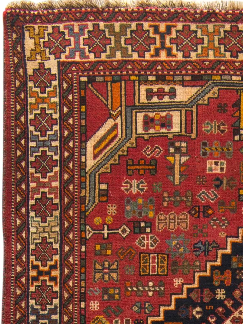 Gashgai|Kibek Clearance