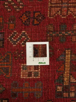 Gashgai|Kibek Clearance