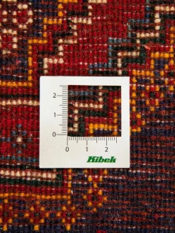 Gashgai|Kibek Discount