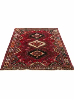 Gashgai|Kibek Clearance