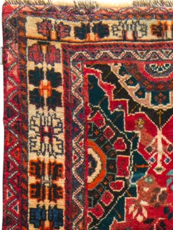 Gashgai|Kibek Clearance