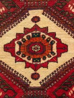 Gashgai|Kibek Clearance