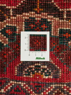 Gashgai|Kibek Clearance