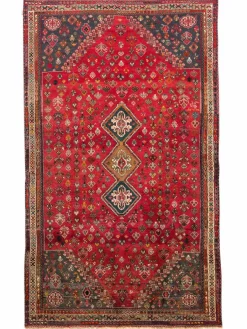 Gashgai|Kibek Clearance