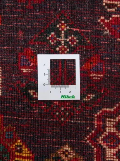 Gashgai|Kibek Clearance