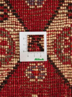 Gashgai|Kibek Clearance