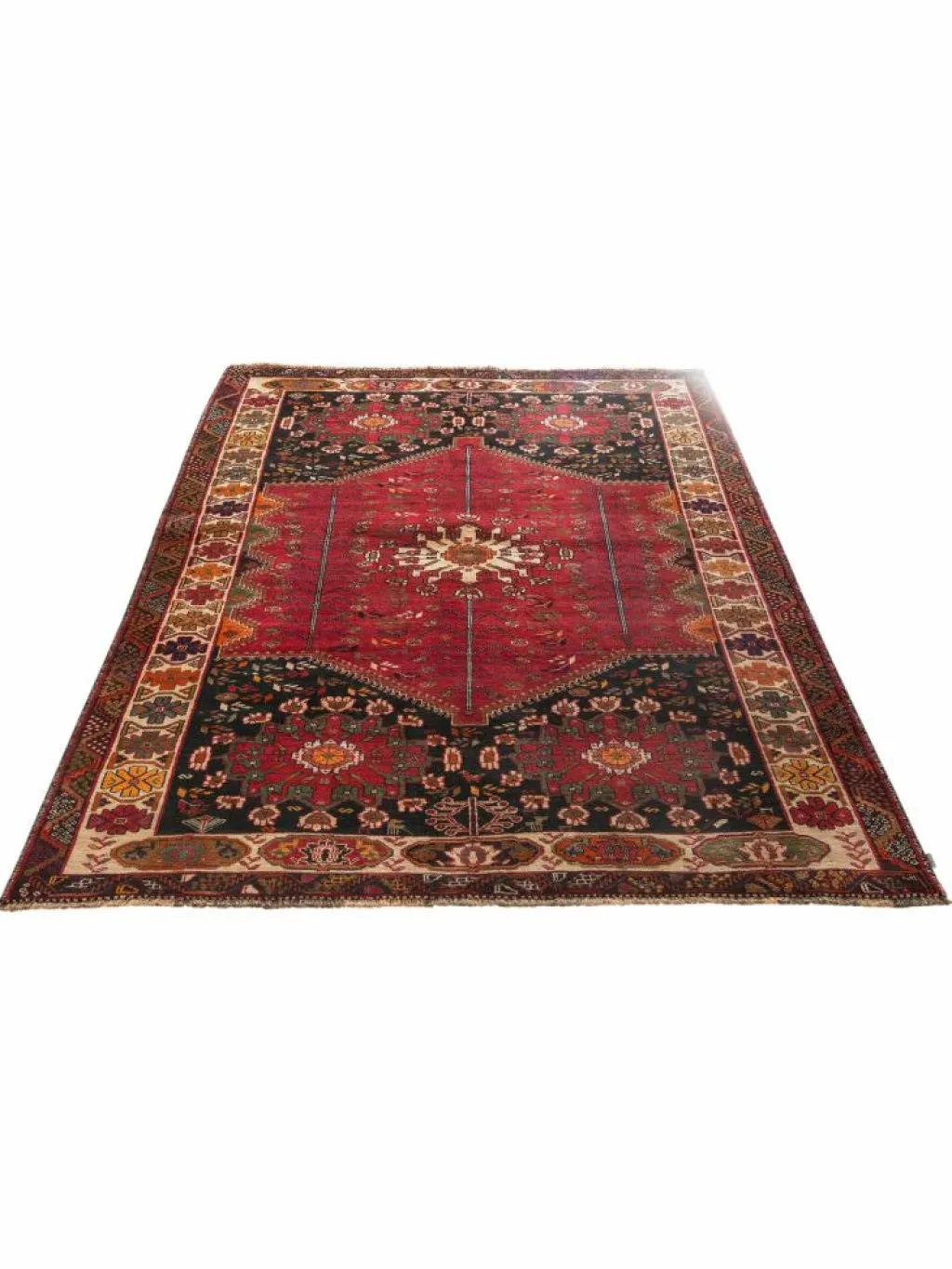 Gashgai|Kibek Clearance