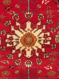 Gashgai|Kibek Clearance