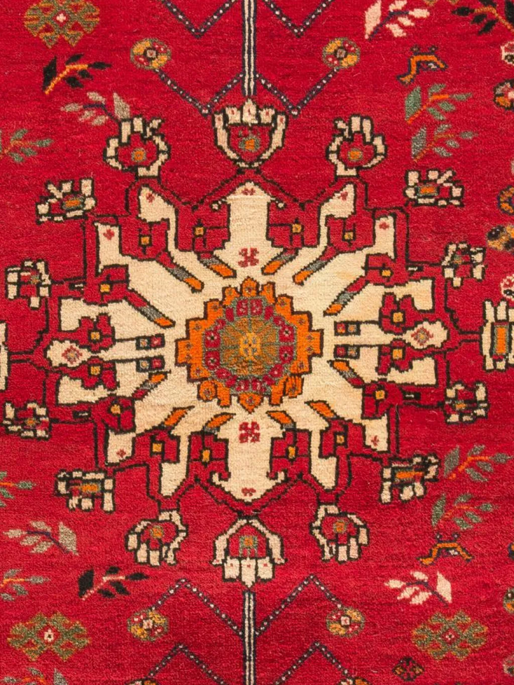 Gashgai|Kibek Clearance