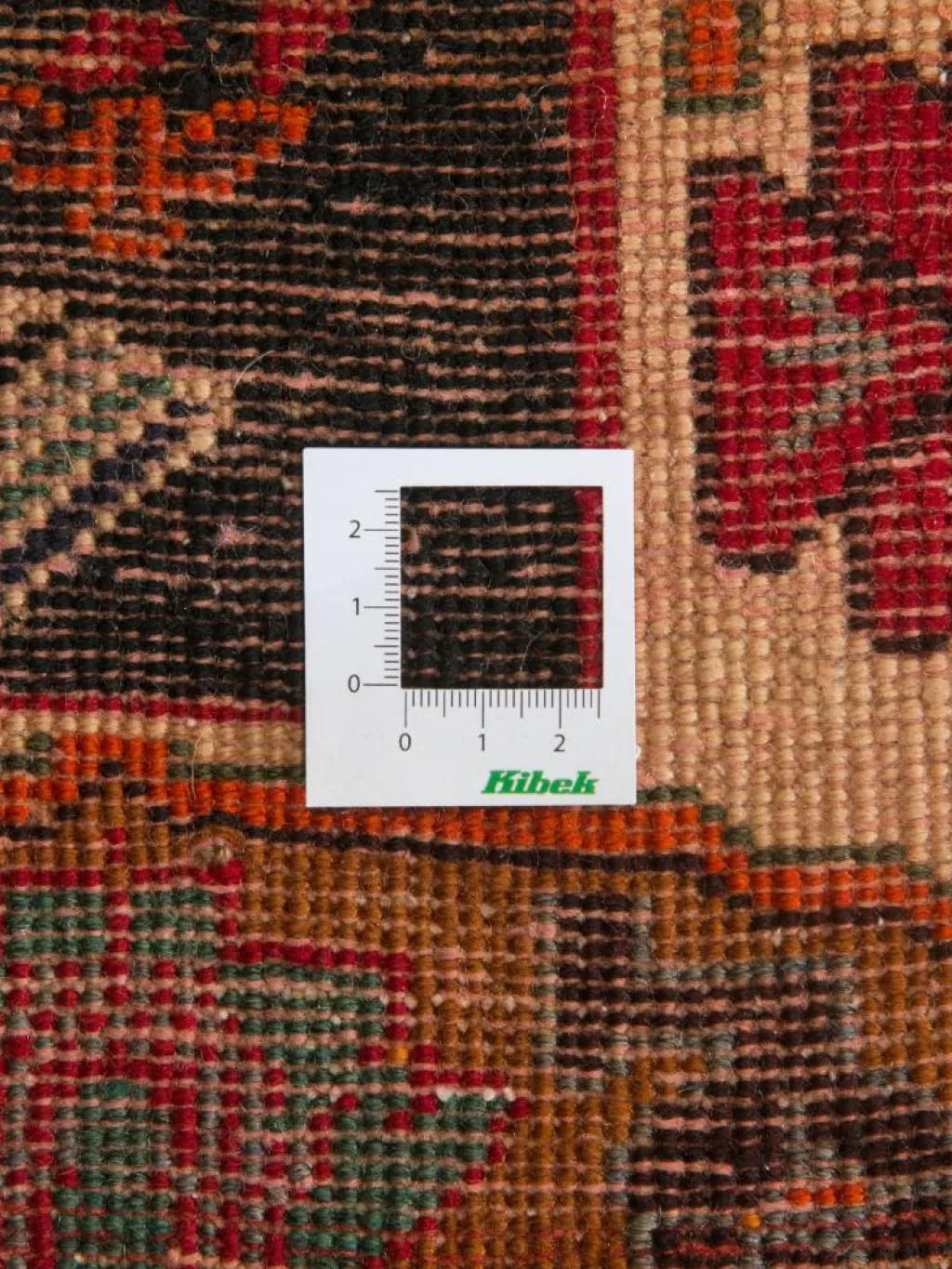 Gashgai|Kibek Clearance