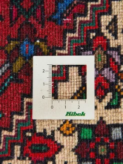 Goltogh|Kibek Discount