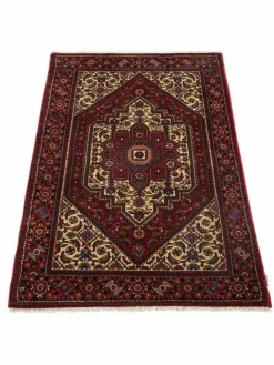 Goltogh|Kibek Outlet