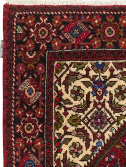 Goltogh|Kibek Outlet