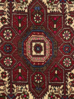 Goltogh|Kibek Outlet