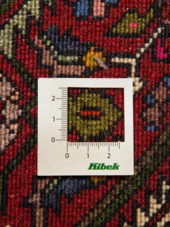 Goltogh|Kibek Outlet