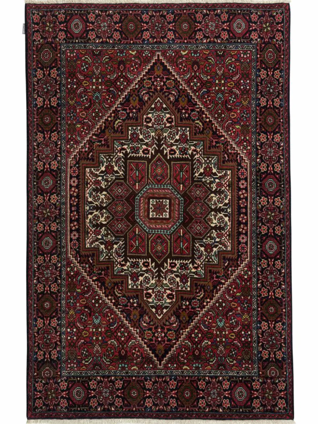 Goltogh|Kibek Clearance