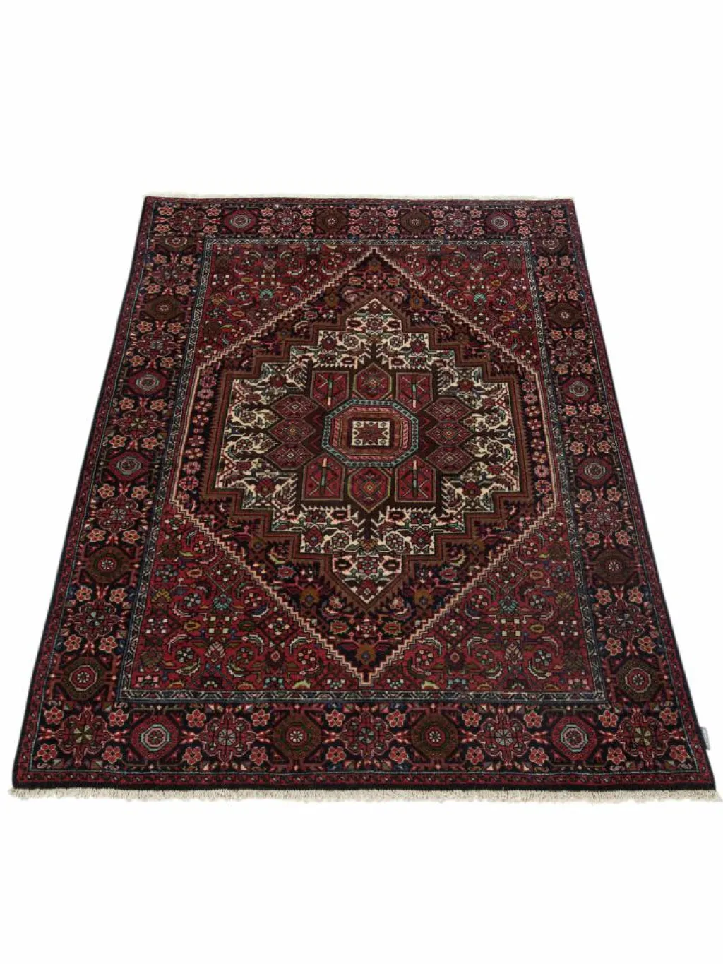 Goltogh|Kibek Clearance