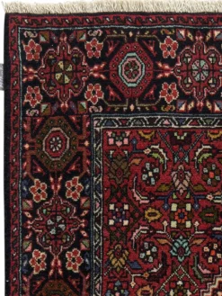 Goltogh|Kibek Clearance