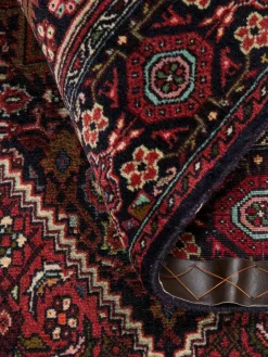 Goltogh|Kibek Clearance