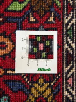 Goltogh|Kibek Clearance