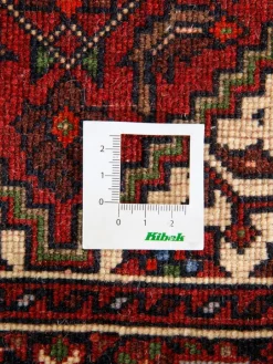 Goltogh|Kibek Online