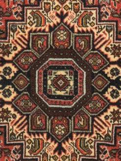 Goltogh|Kibek Clearance