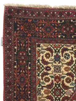 Goltogh|Kibek Clearance