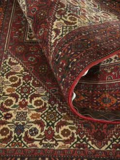 Goltogh|Kibek Clearance