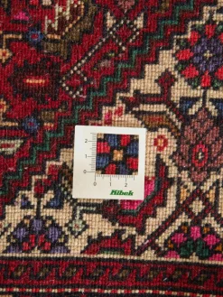 Goltogh|Kibek Outlet