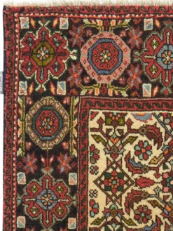 Goltogh|Kibek Discount