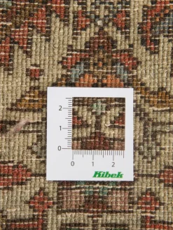 Goltogh|Kibek Discount